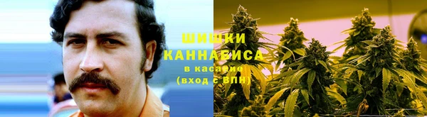 амф Алзамай