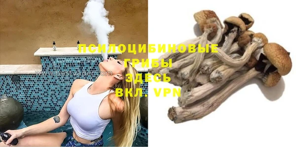 амф Алзамай