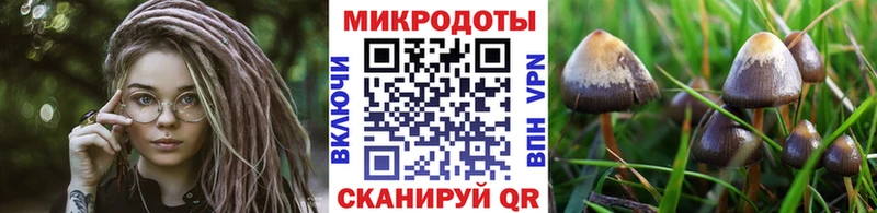 мега зеркало  наркотики  Заозёрный  Галлюциногенные грибы Magic Shrooms 